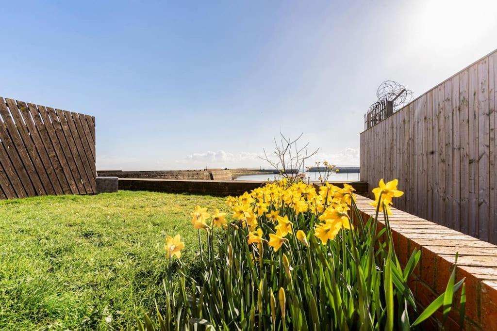 Stunning Ground Floor Hartlepool Marina Apartment Dış mekan fotoğraf